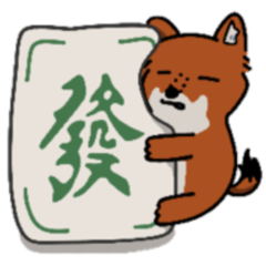 Fortune Dhole: New Year & Daily Life