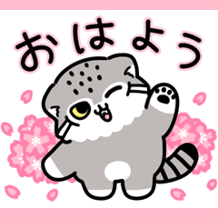 ゆるっとマヌルちゃん22 春