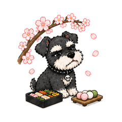 ちょいわるシュナウザー 四季のくらし
