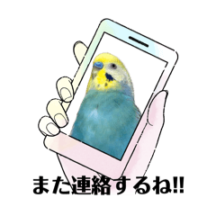 インコスタンプ＋ワン