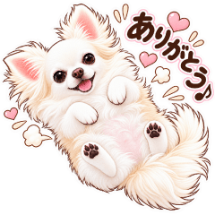 チワワの日常会話/仕事/家族/友達