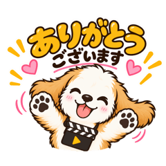 mao²動画部 ムビのまいにち。
