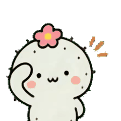 動く！まるサボテンの毎日