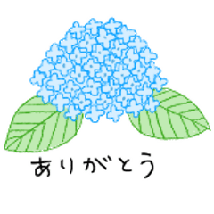 6月★紫陽花～鎌倉の旅行～