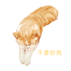 Babu family_20190427