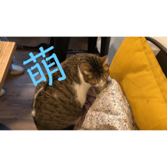 Ashley_20211219175907