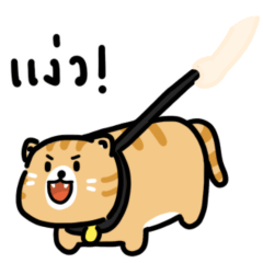 Cat : But what I miss most of all....