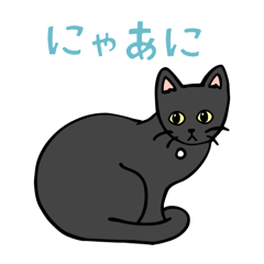 黒猫のマチカちゃん　Vo.2