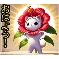 ハイビにゃん‼️…