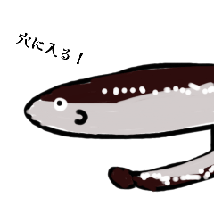 魚スタンプ第15弾やでーーーーーーー