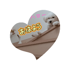 パンちゃんの会話