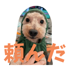 田中ですけども