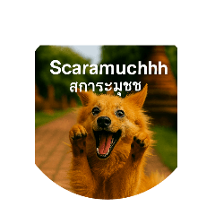 Scaramuchhh