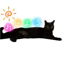 まーるまるぽんぽん