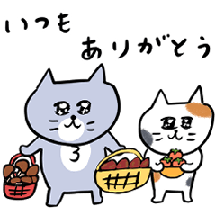 灰色キャットの秋の暮らし