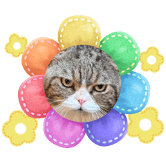 hi, my name is manop 3.