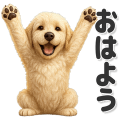 毎日使える！かわいいラブラドゥードル