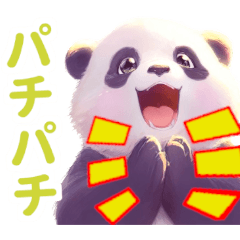 【一年中】日常生活で毎日かわいいパンダ