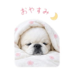 みるもも3