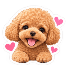 プードル♡で会話しよ♩