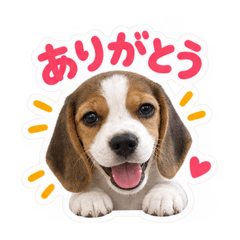 アルタプ