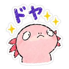 ウーパールーパーのうぱごん 2