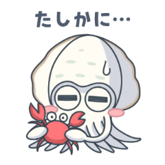 アオリイカとエギングで釣れるイカ５