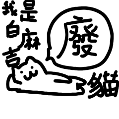 Lazy fat Cat everyday