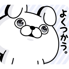 うさぎ１００％ よくつかう。