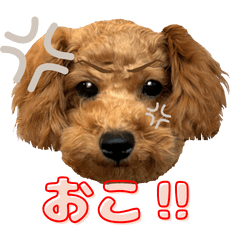 それいけくくちゃん！ ver4