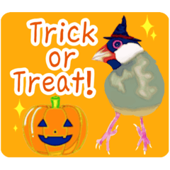 文鳥のハロウィン★毎日かわいいスタンプ