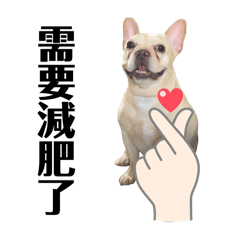 Huang Chia Chin_20250914124238