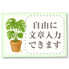 書き込める♡観葉植物カード