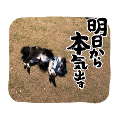 ざっく すたんぷ2