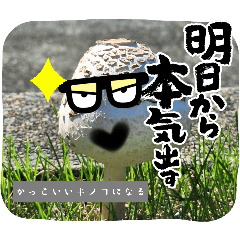 高ぶるキノコ