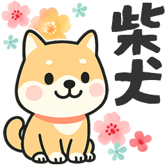 柴犬♡長文スタンプ【花と感謝多め】