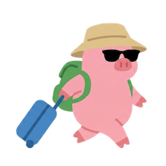 Traveler Piggy Pro