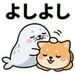 もちもち癒やし！柴犬とアザラシ