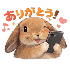 Cute Bunny Everyday.