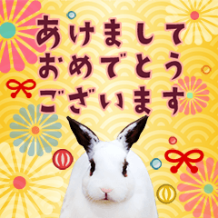 うさぎ写真のお正月・年賀スタンプ【再販】