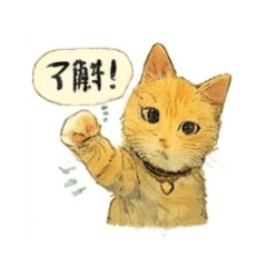 ねこ大好き！