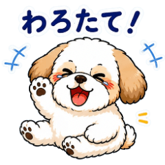 ゆるゆるシーズー　新潟弁バージョン
