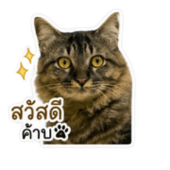 Ouangchai