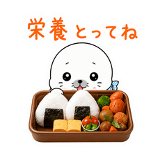 気遣い上手な赤ちゃんあざらし
