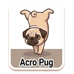 Pug Cards: Everyday Moves