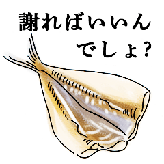 偉そうな日本の魚