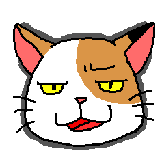 Calico cat mike