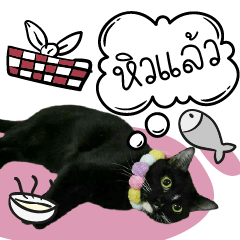 IM-JUNG CAT Sticker