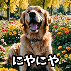 リアルでかわいい！ゴールデンのスタンプ