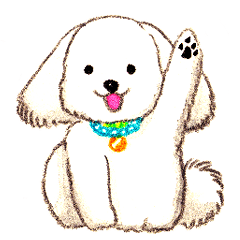 プードルのこてつくん